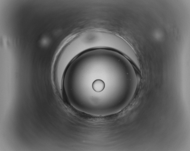 X0000114440104200910161404