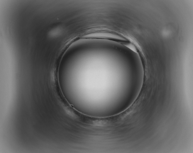 X0000114440105200910161404