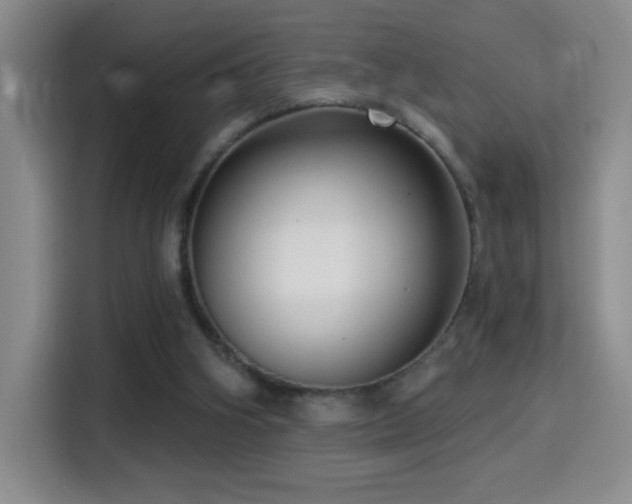 X0000114440106200910161404
