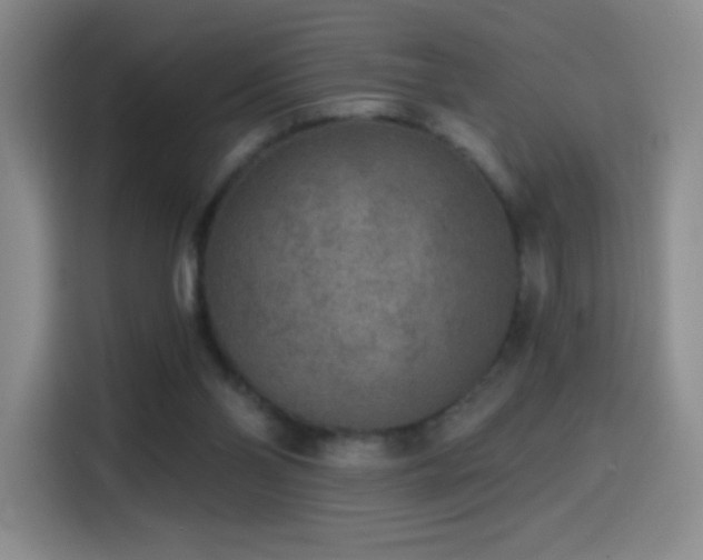 X0000114440110200910161404