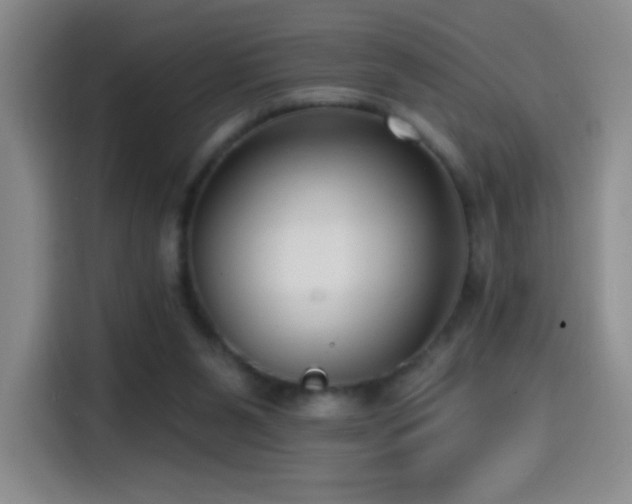 X0000114440111200910161404