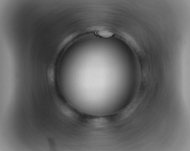 X0000114440112200910161404