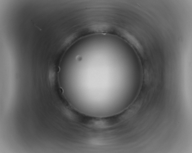 X0000114440113200910161404