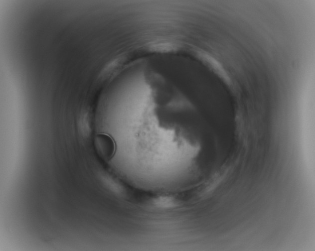 X0000114440114200910161404