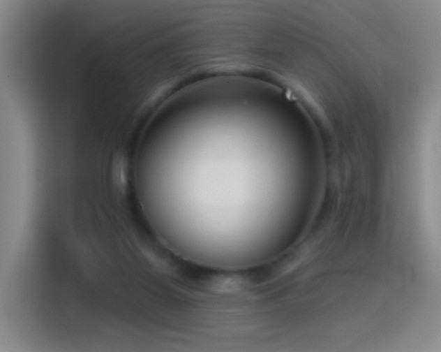 X0000114440115200910161404