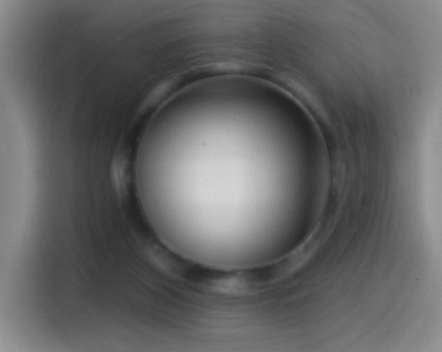X0000114440116200910161404