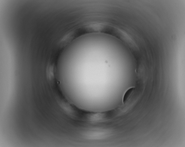 X0000114440122200910161403