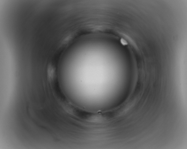X0000114440123200910161403