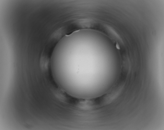 X0000114440125200910161403