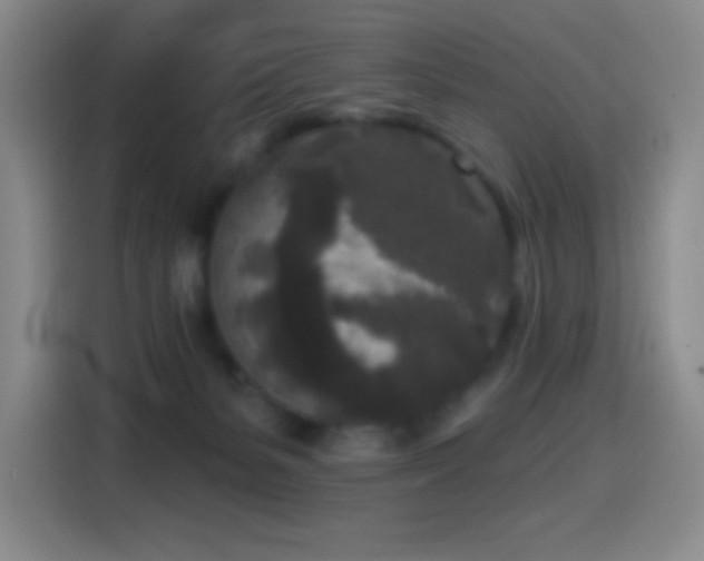 X0000114440127200910161403