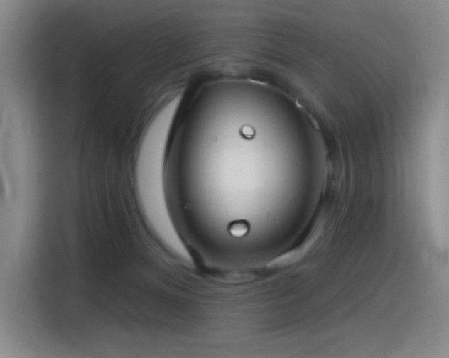 X0000114440128200910161403
