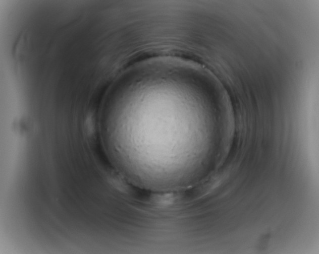 X0000114440131200910161403