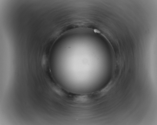 X0000114440132200910161403