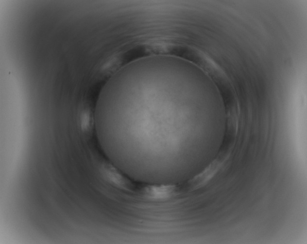 X0000114440134200910161403