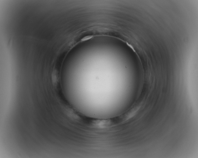 X0000114440135200910161403