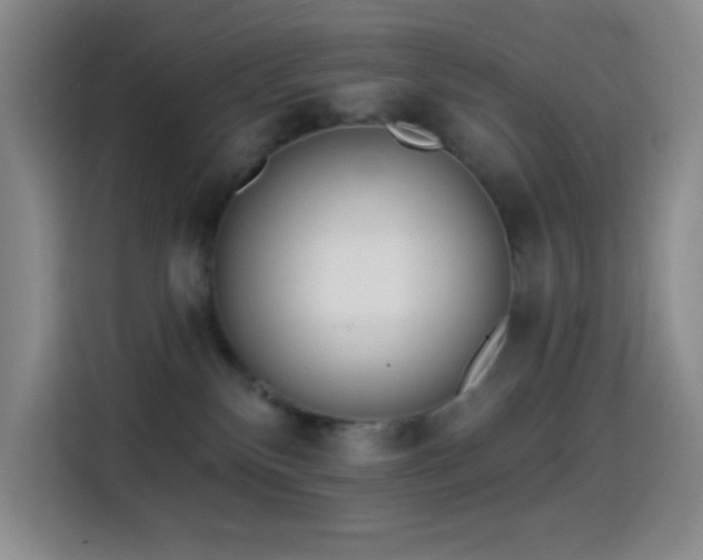 X0000114440136200910161403