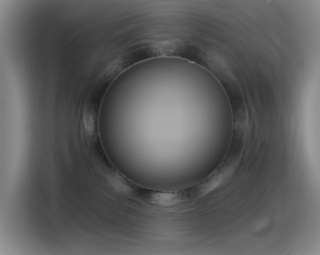 X0000114440139200910161403