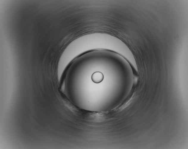 X0000114440140200910161403