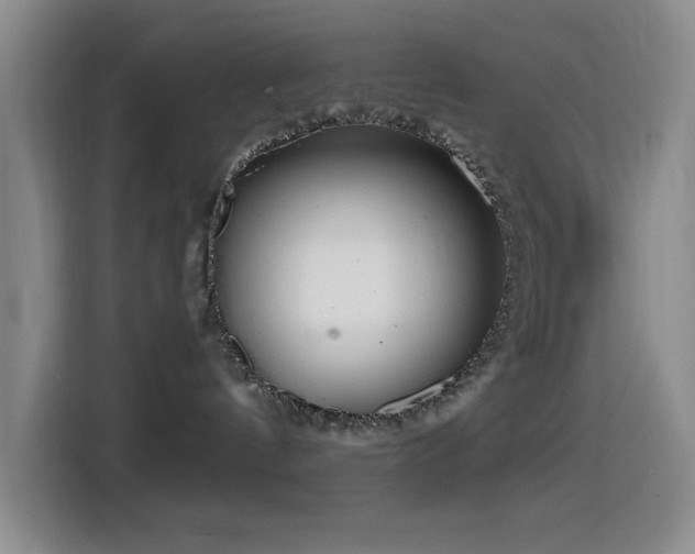 X0000114440144200910161403