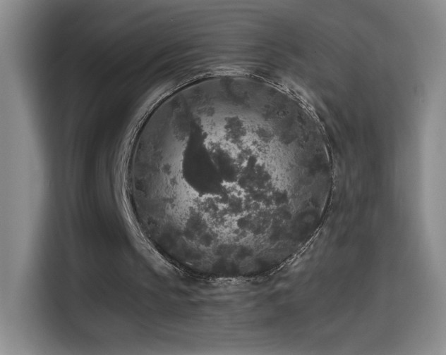 X0000114440145200910161402