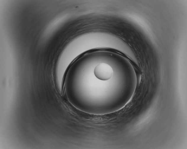 X0000114440146200910161402