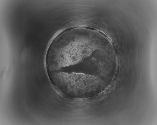 X0000114440147200910161402