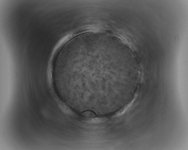 X0000114440149200910161402