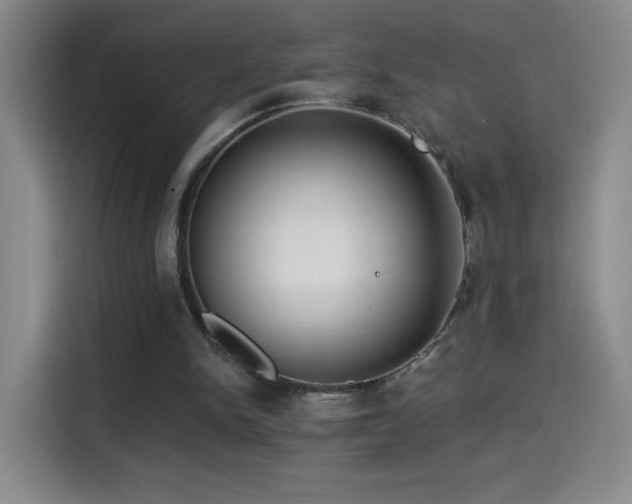 X0000114440150200910161402