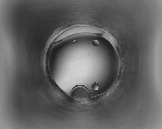 X0000114440151200910161402