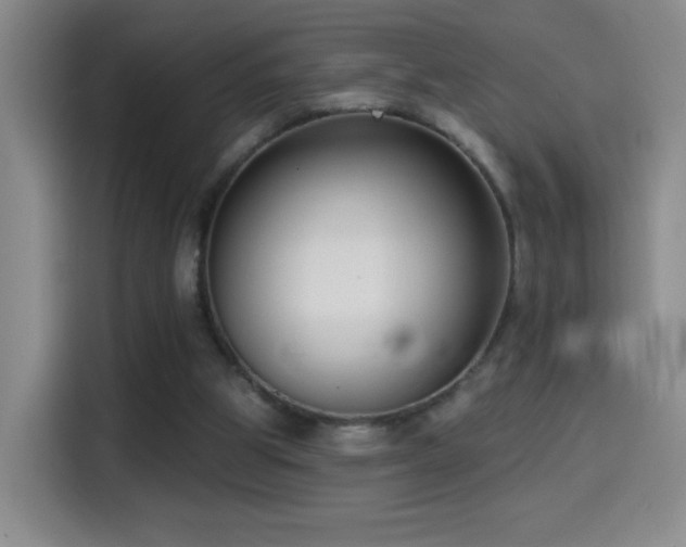 X0000114440153200910161402