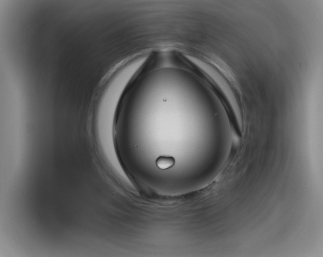 X0000114440155200910161403