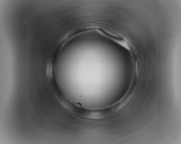 X0000114440157200910161403