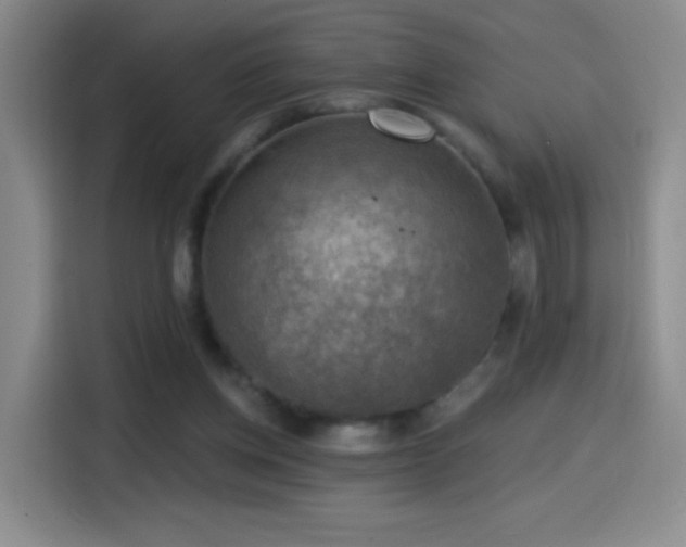 X0000114440158200910161403