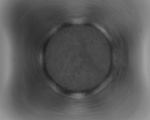 X0000114440161200910161403