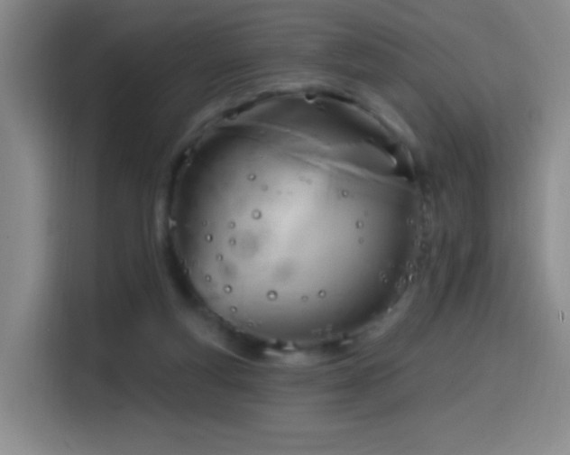 X0000114440163200910161403