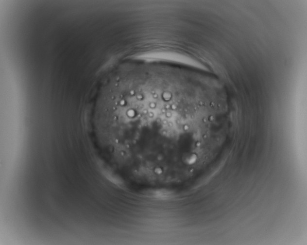X0000114440165200910161403