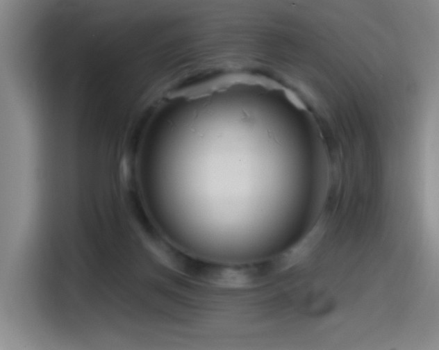 X0000114440166200910161403