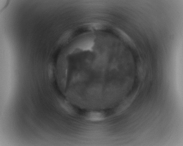 X0000114440169200910161403