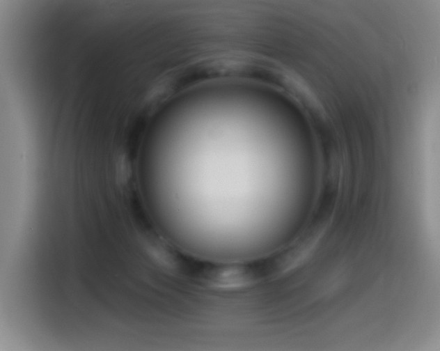 X0000114440173200910161403