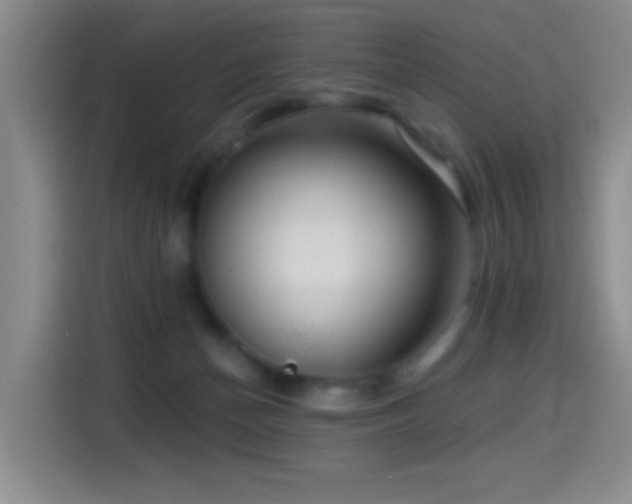 X0000114440174200910161403