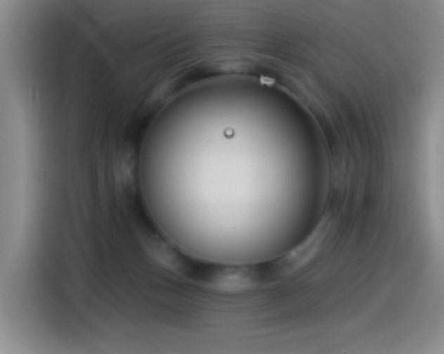 X0000114440175200910161403