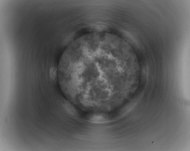 X0000114440177200910161403