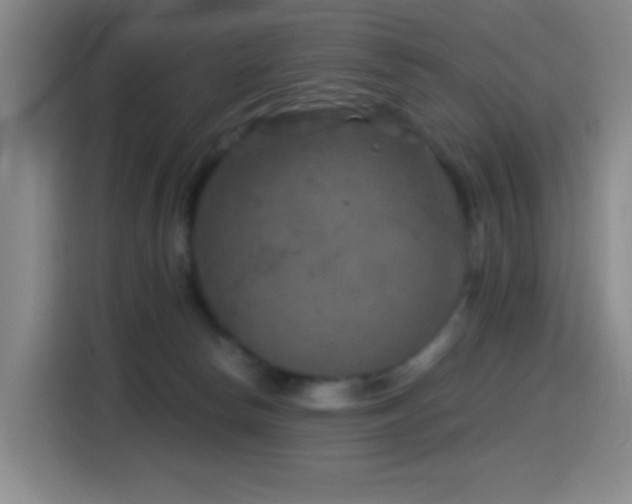 X0000114440178200910161403