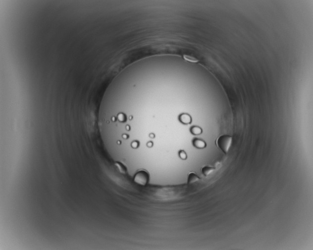 X0000114440183200910161403