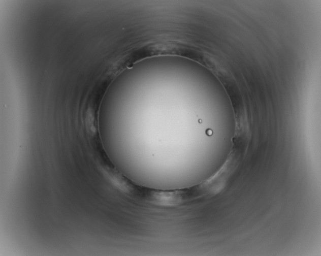 X0000114440187200910161403