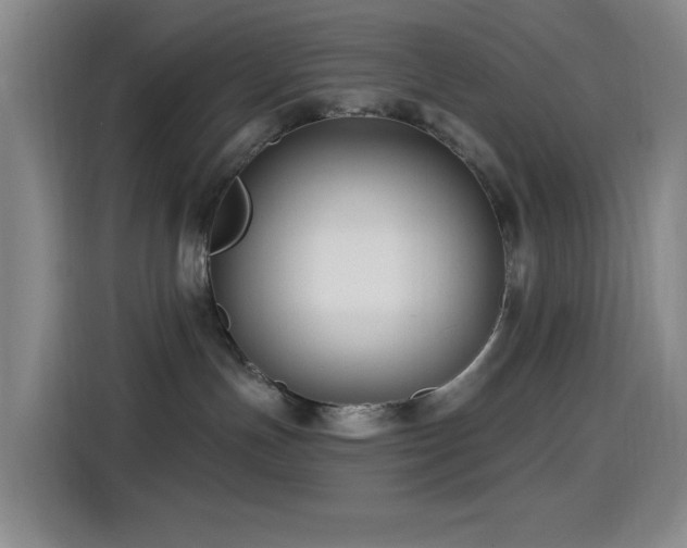 X0000114440191200910161403