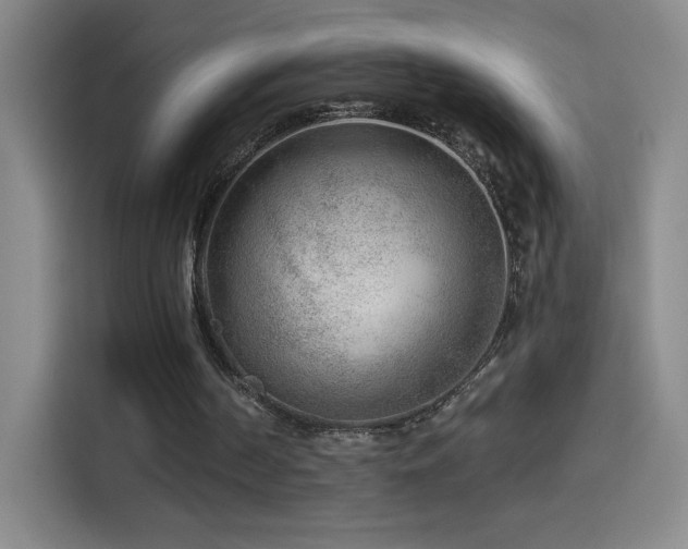 X0000114440194200910161402