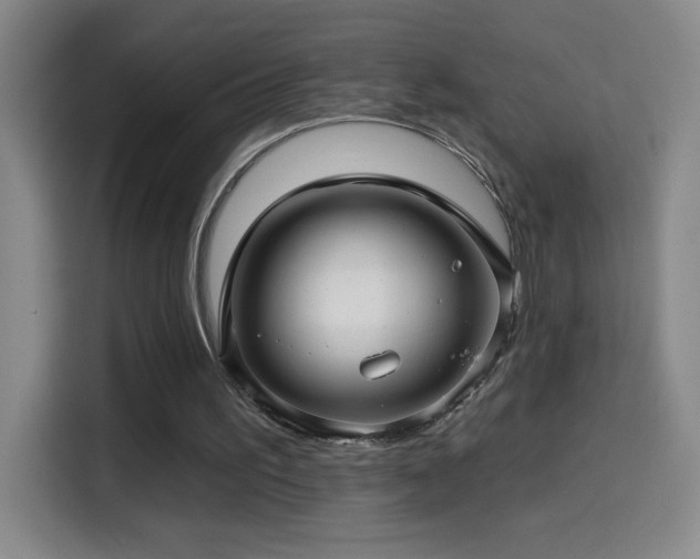 X0000114440195200910161402