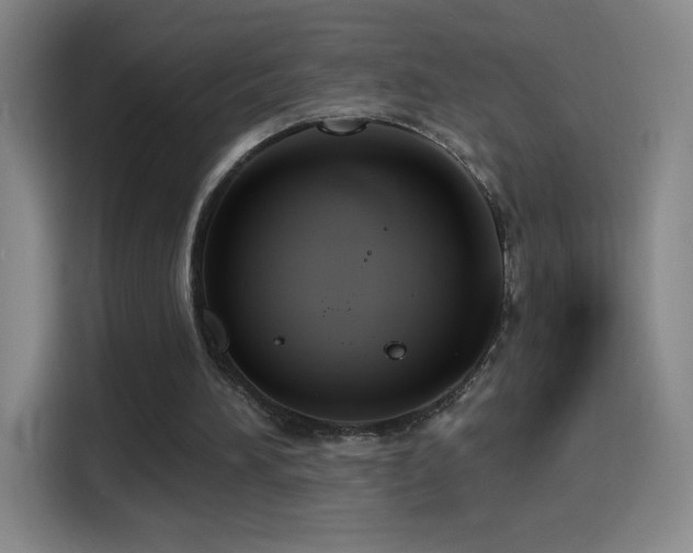 X0000114440196200910161402
