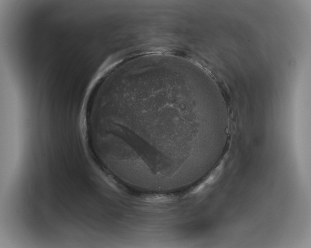 X0000114440198200910161402